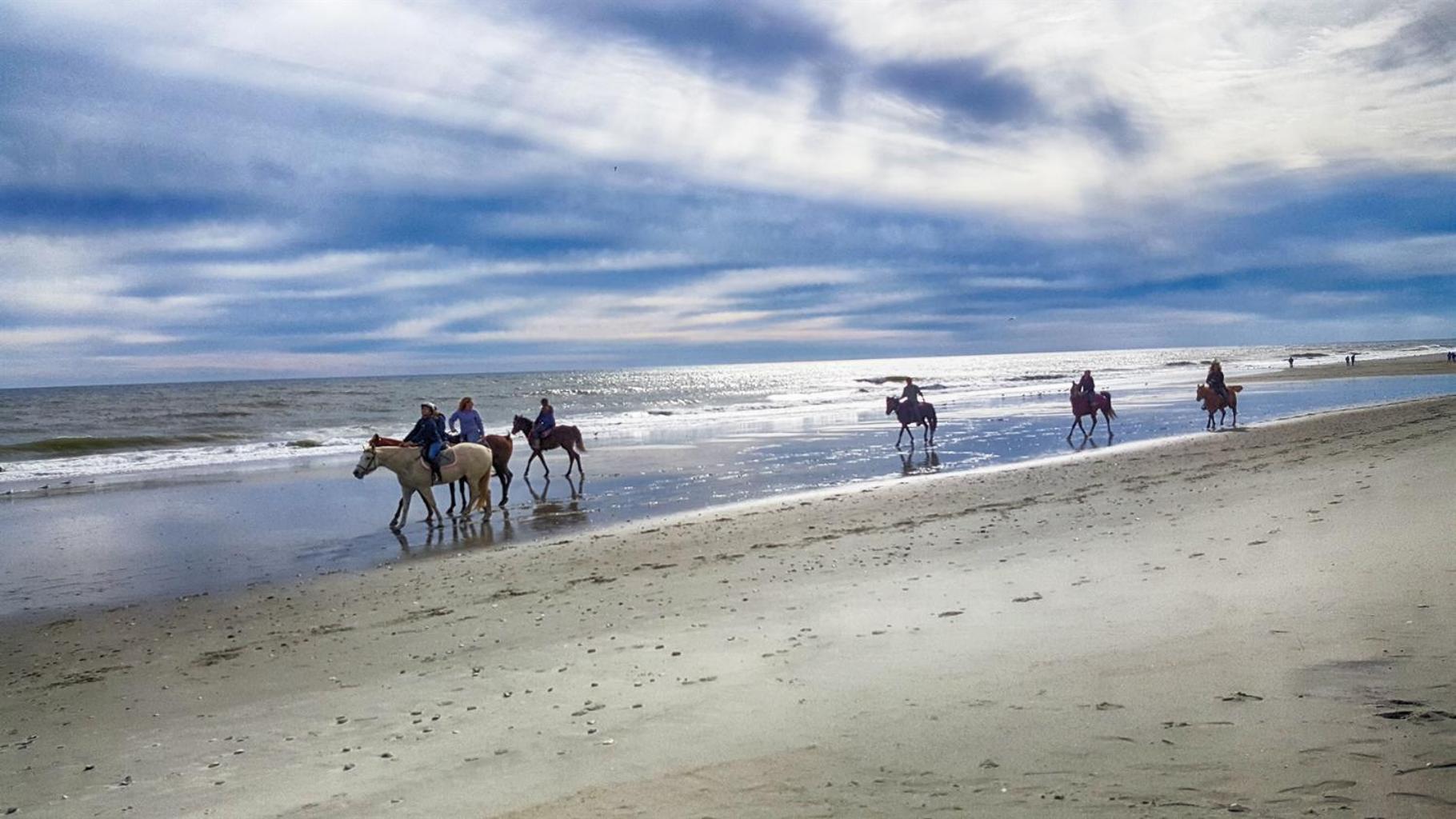 Romantic Oceanfront View, Discounted, Pools Myrtle Beach Esterno foto